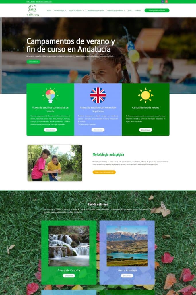 Diseño Web Diseno sin titulo 6